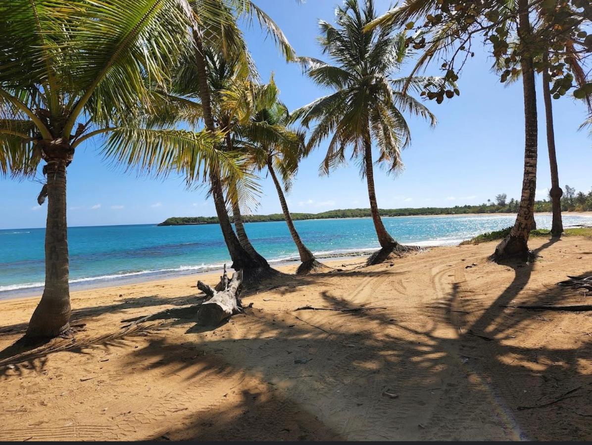 Bee Inn Puerto Rico Charming Urban Apartment In Сан Хуан Екстериор снимка