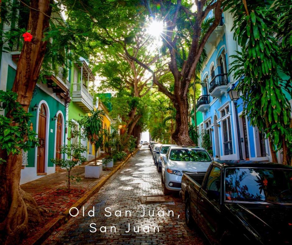 Bee Inn Puerto Rico Charming Urban Apartment In Сан Хуан Екстериор снимка