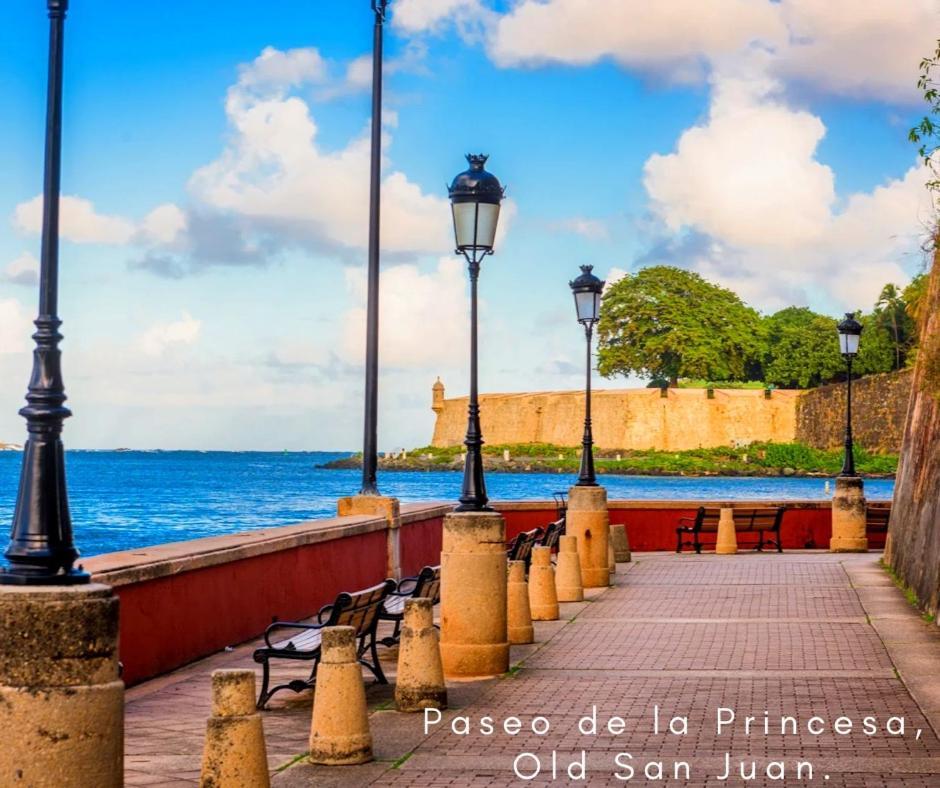 Bee Inn Puerto Rico Charming Urban Apartment In Сан Хуан Екстериор снимка